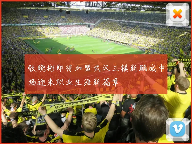 张晓彬即将加盟武汉三镇新鹏城中场迎来职业生涯新篇章